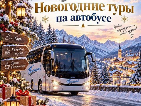 Новогодние туры